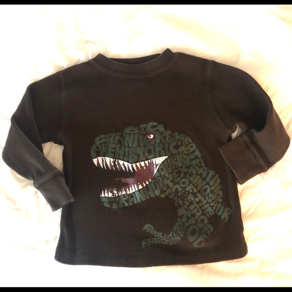 GYMBOREE 4T Dinosaur Roar T-shirt Tee
